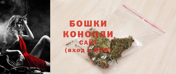 СК Вязьма
