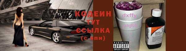 СК Вязьма