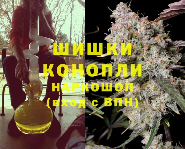 СК Вязьма