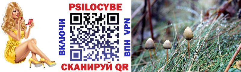 Галлюциногенные грибы прущие грибы  Купить  Гай 